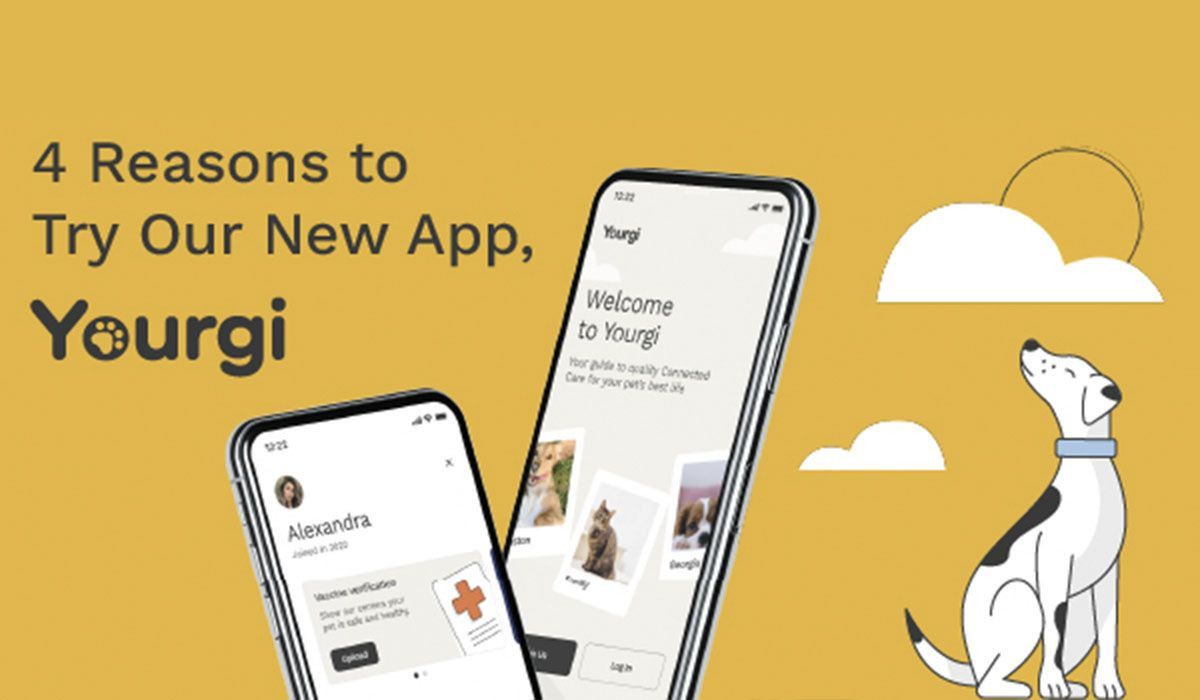 yourgi-blog-post-cover
